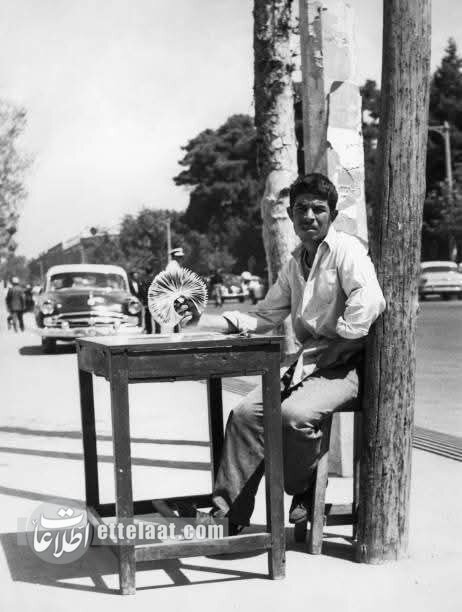 این خانم تهرانی برنده بلیت بختآزمایی شد و فوت کرد! +عکس