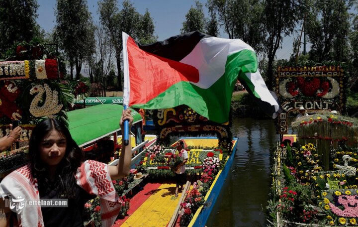 جشنواره گل مکزیک