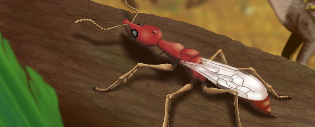 مورچه جهنمی ۱۱۳ میلیون ساله را ببینید +عکس