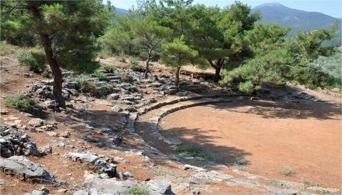 گونه های گیاهی منحصر به فرد