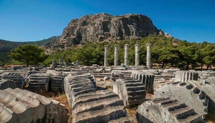 جاذبه های اطراف پارک ملی بیوک