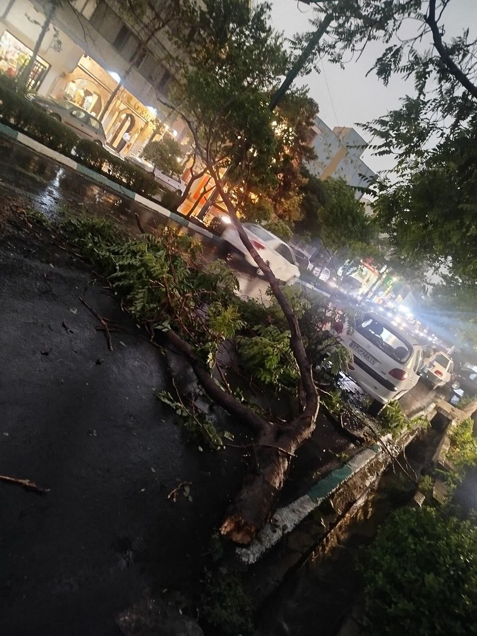 طوفان شدید در تهران