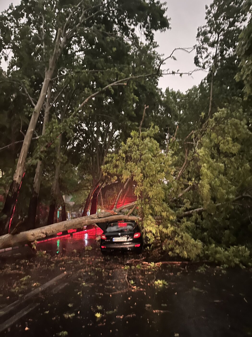 سقوط درخت روی اتومیبیل در تهران به دلیل طوفان شدید