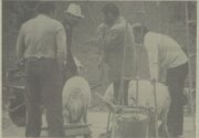 گزارش تصویری از قصابی در پیاده‌روهای تهران!