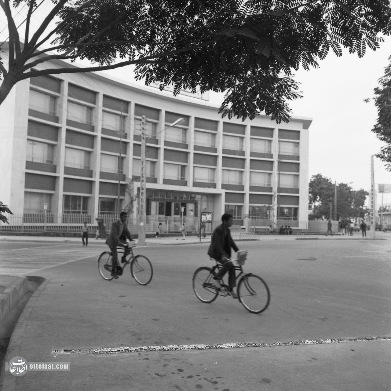 عکسهای دیدنی از شهر بندرعباس نیم قرن پیش!