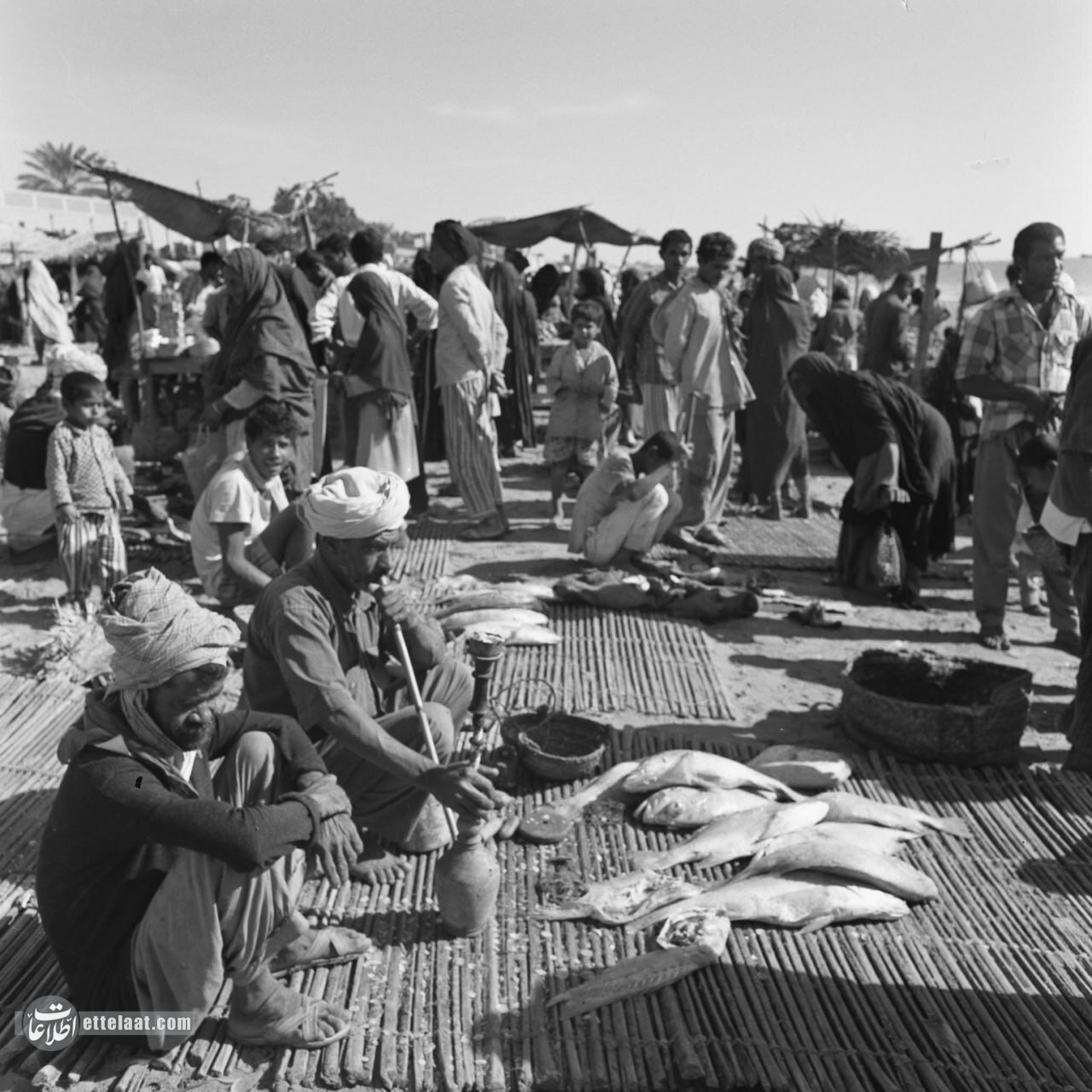 عکسهای دیدنی از شهر بندرعباس نیم قرن پیش!
