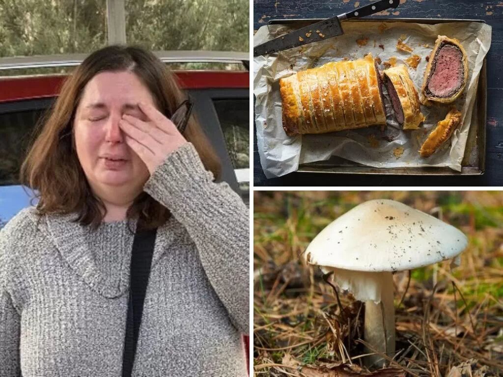 زن ۵۰ ساله ۳ نفر از اعضای خانواده‌ شوهرش را کشت! +عکس