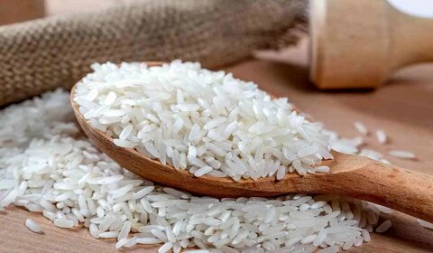 قیمت برنج ایرانی رکورد زد؛ علت گرانی بی‌سابقه چیست؟