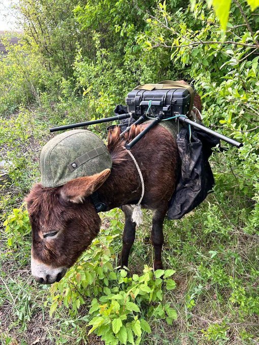 جابجایی تجهیزات جنگی روسیه با الاغ در اوکراین!