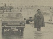 مردان هوسباز خیابان‌های تهران را برای خانم‌ها ناامن کردند! +عکس