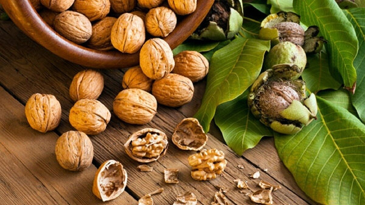 با مصرف گردو از این بیماری مرگبار جلوگیری کنید