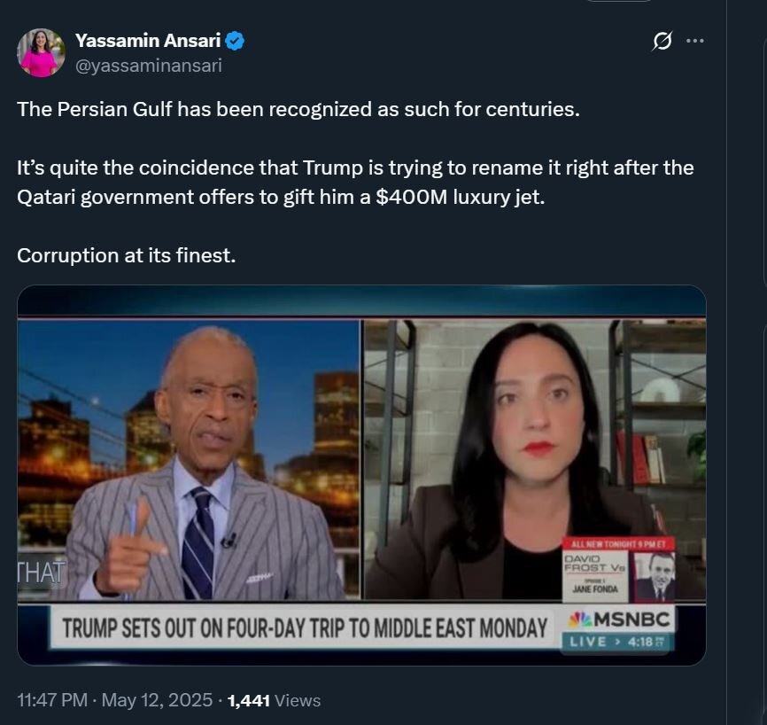 یاسمین انصاری پشتپرده تغییر نام «خلیج فارس» را لو داد!