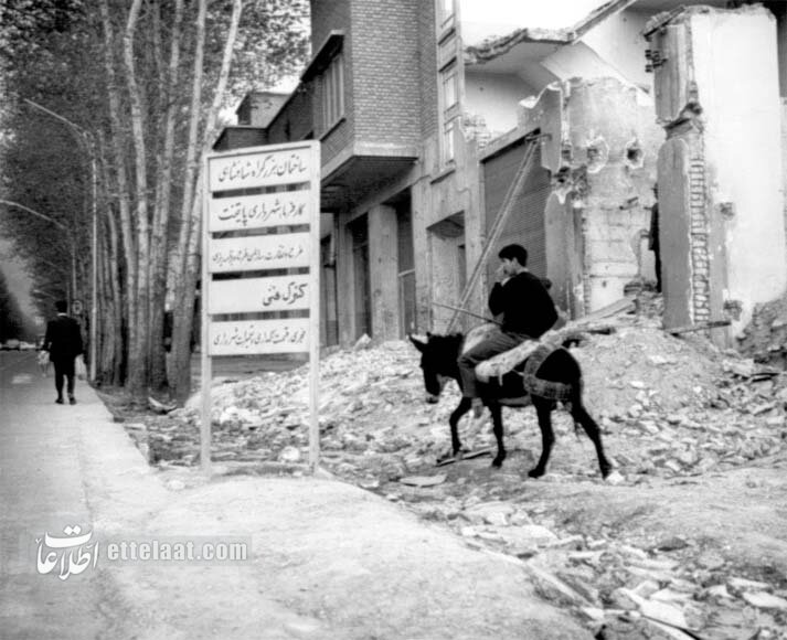 پارکوی را بستند تا آسفالت کنند! +عکس