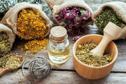 این گیاه دارویی چه بلایی سر عضلات شما می‌آورد؟