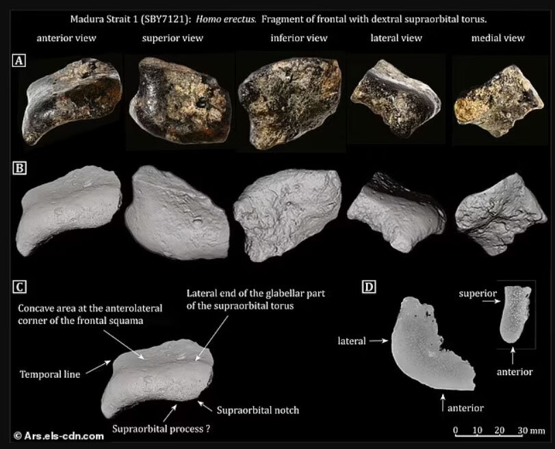 کشف شهر ۱۴۰ هزار ساله از اعماق اقیانوس +عکس