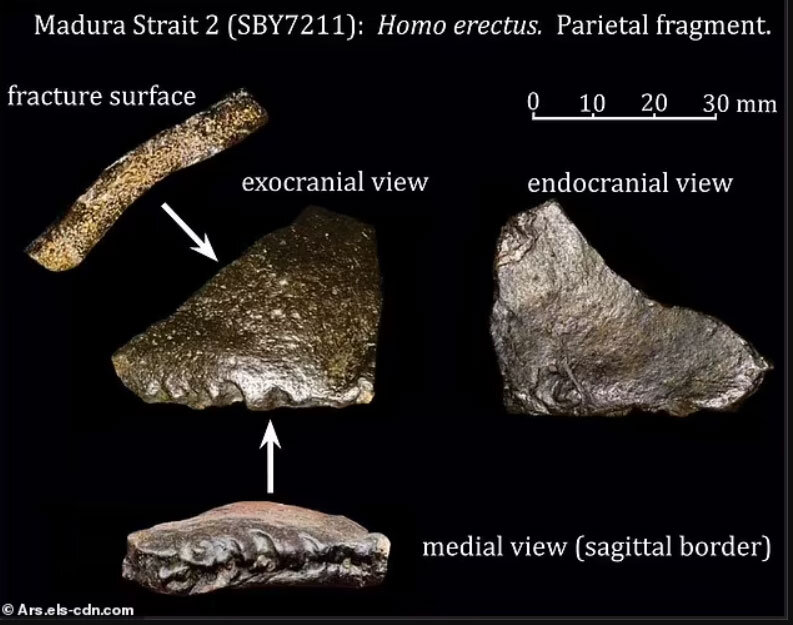 کشف شهر ۱۴۰ هزار ساله از اعماق اقیانوس +عکس