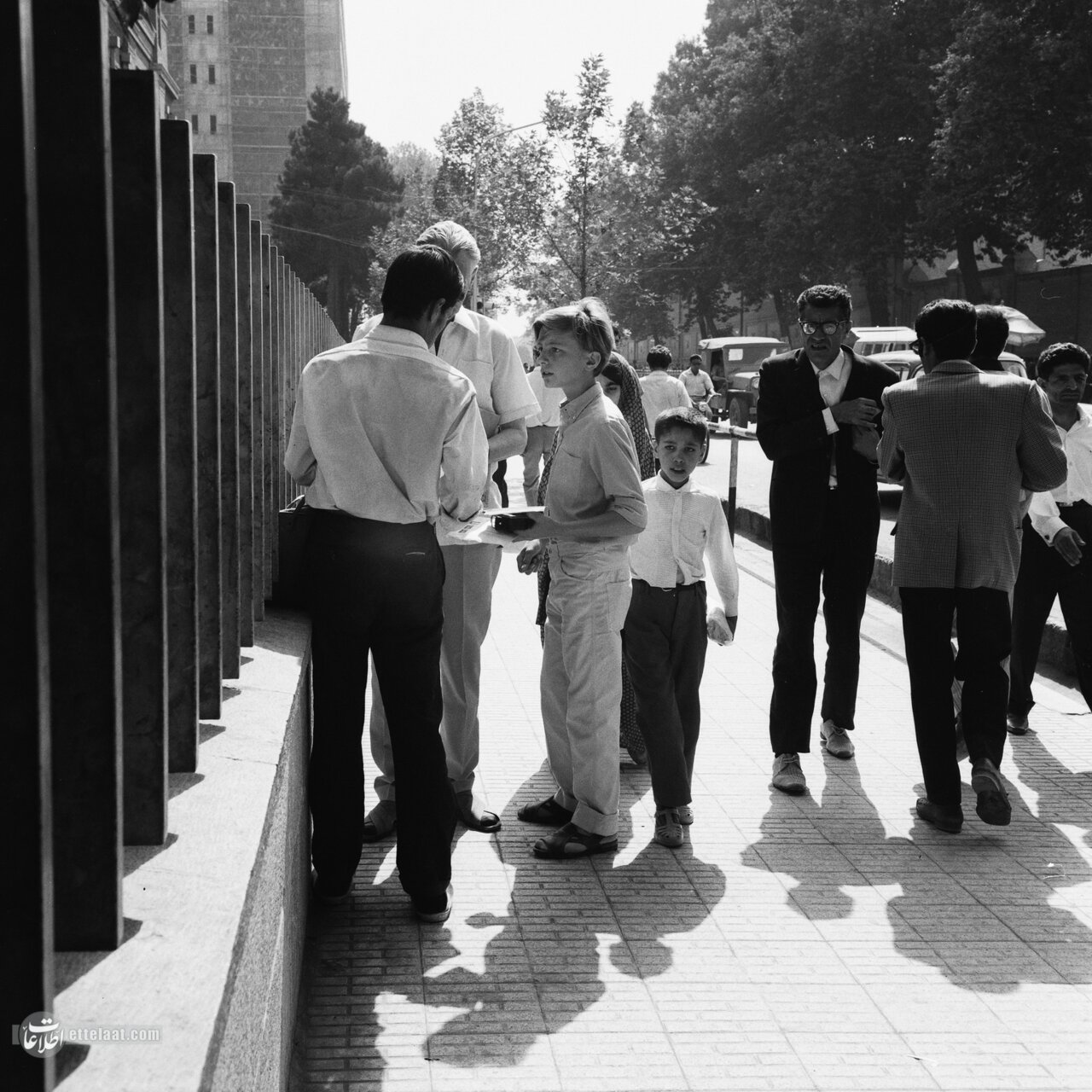 سروکله توریستها زودتر از چغالهبادام پیدا شد! +عکس و جزئیات