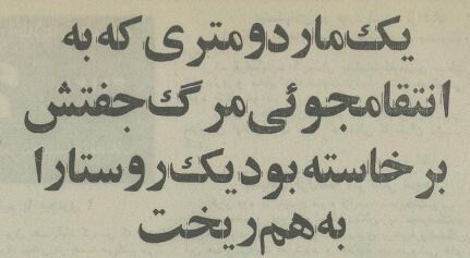 یک مار ۲ متری برای انتقام به روستایی در خراسان حمله کرد! یک مار ۲ متری برای انتقام به روستایی در خراسان حمله کرد!