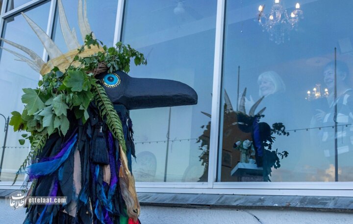 کلاغ زمستان