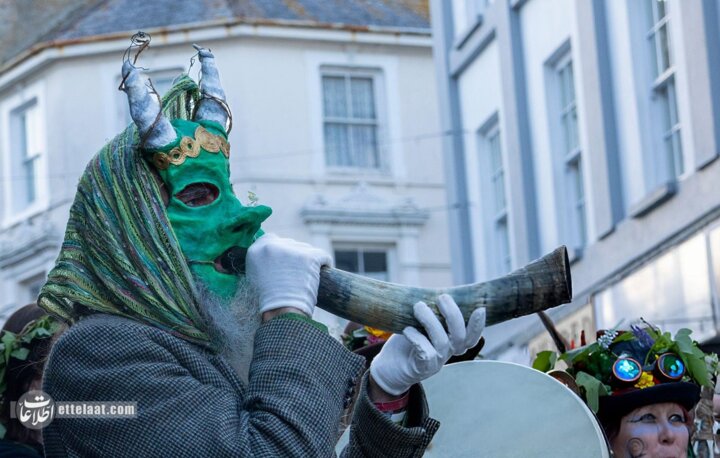 کلاغ زمستان