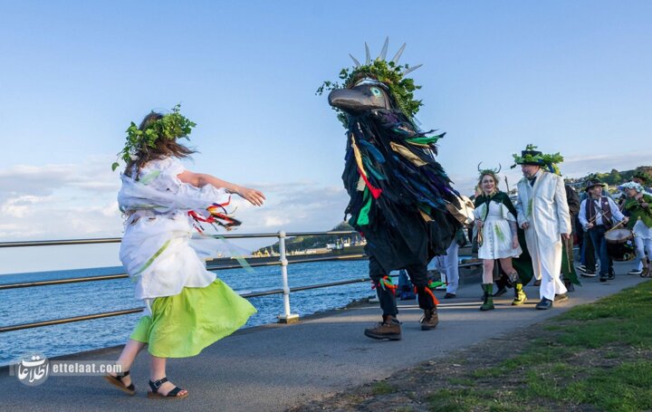 کلاغ زمستان