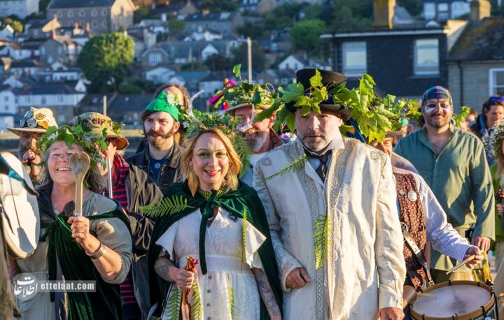 کلاغ زمستان