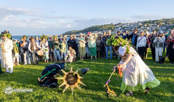 کلاغ زمستان