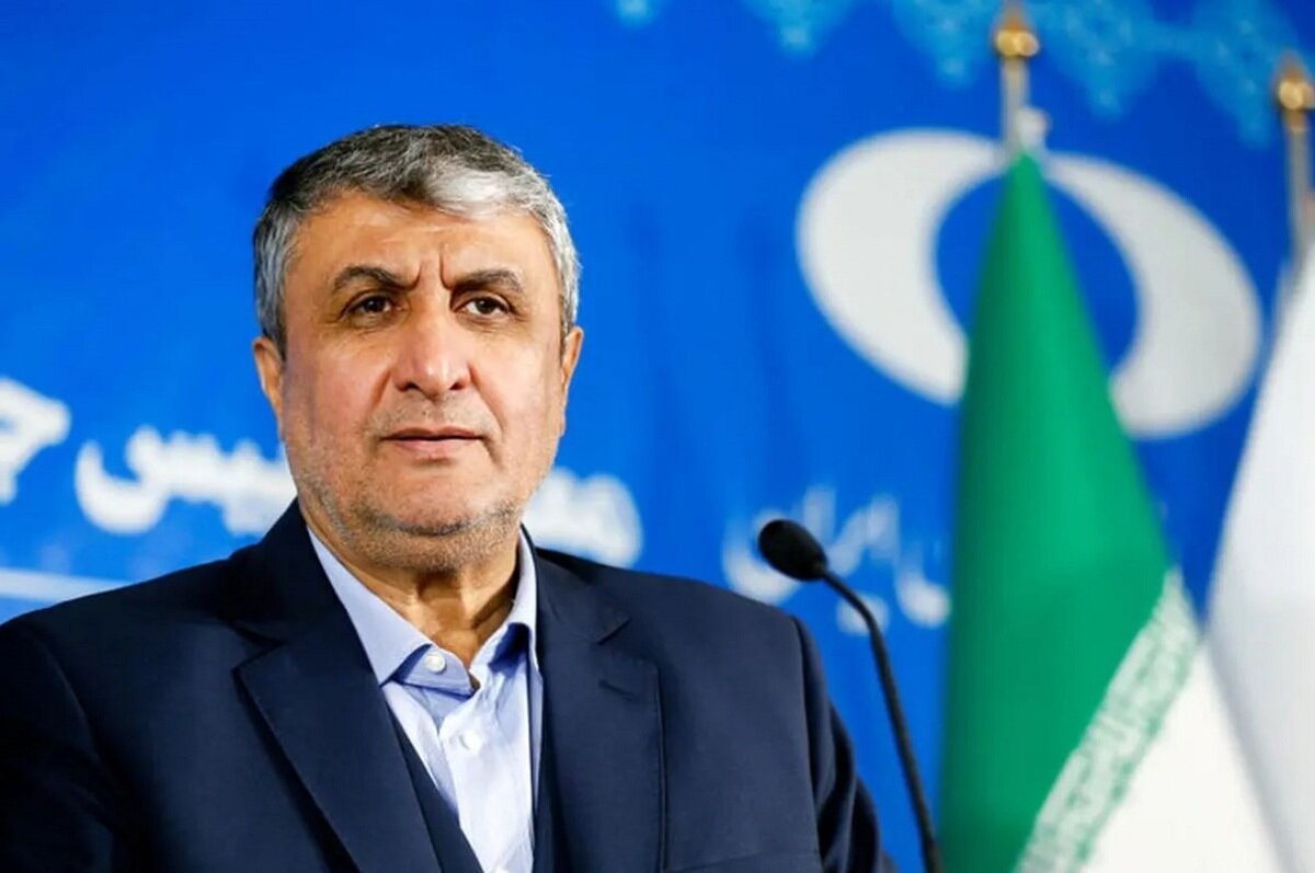 محمد اسلامی، رئیس سازمان انرژی اتمی