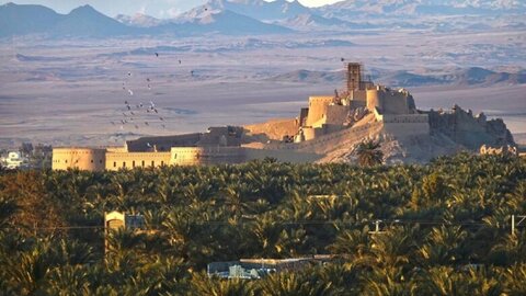 سودجویان به جان باغ شهر جهانی بم افتادند؛ ۶۰۰هکتار نخلستان خشک شد!
