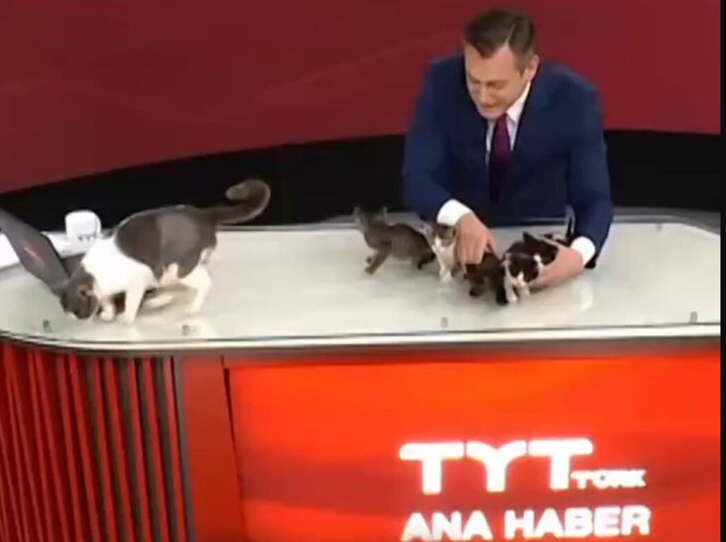 به دنیا آمدن بچه‌ها در پخش زنده اتاق خبر! +ویدیو