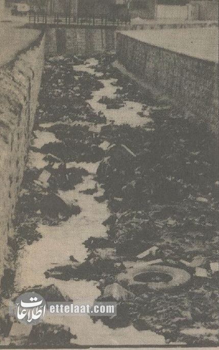 عکسهای زشت انباشت زباله در معابر تهران خبرساز شد!