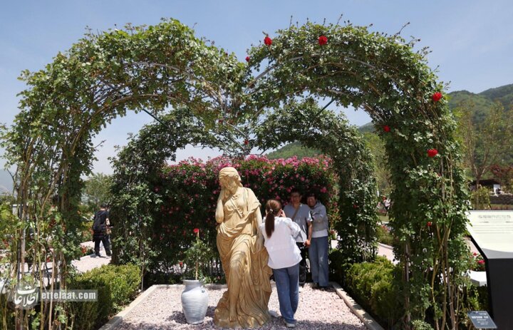 گل چینی