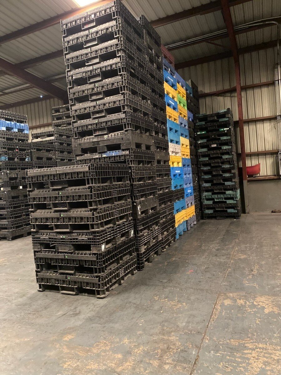 تنوع پالتها (سبک، سنگین، صادراتی)