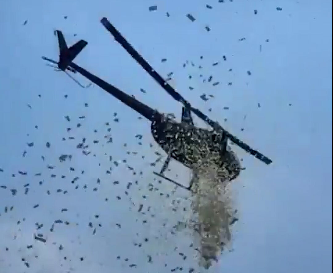 بارش پول نقد مردم را غافلگیر کرد +ویدیو