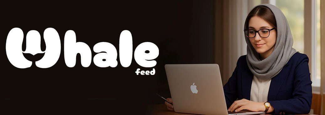 وال فید چیست