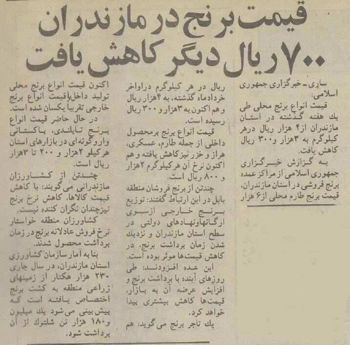 قیمت برنج در مازندران ۷۰ تومان ارزان شد!