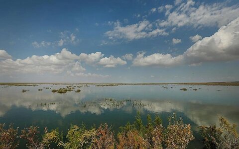 ماجرای وجود مواد مرگبار در تالابی در نزدیکی تهران واقعیت دارد؟