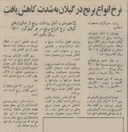 قیمت برنج در مازندران ۷۰ تومان ارزان شد!