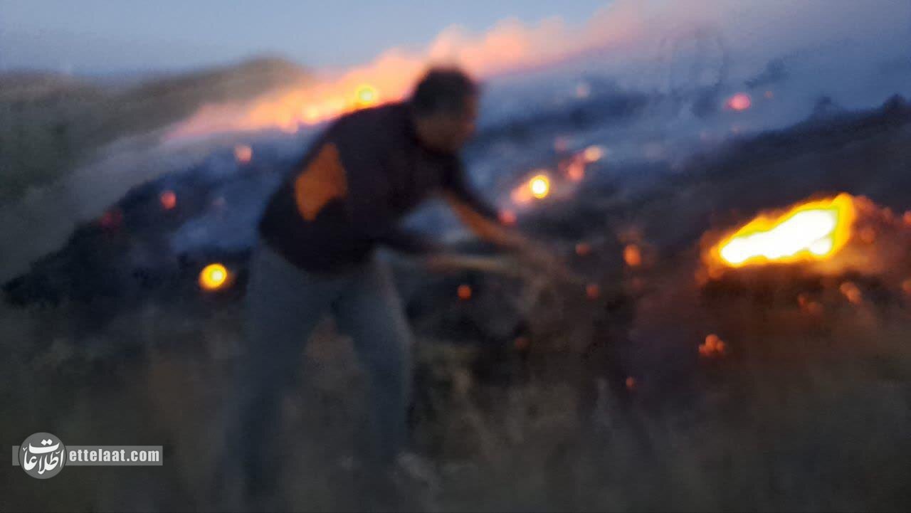 ماجرای آتش سوزی در زیستگاه پلنگ ایرانی چه بود؟