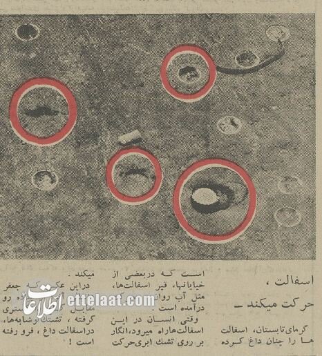 ایران داغ کرد: تهرانیها فرار کردند، هجوم برای کولر در تبریز، طبس شهر مجردها، خوزستان فلات بیپرنده +عکس و گزارش