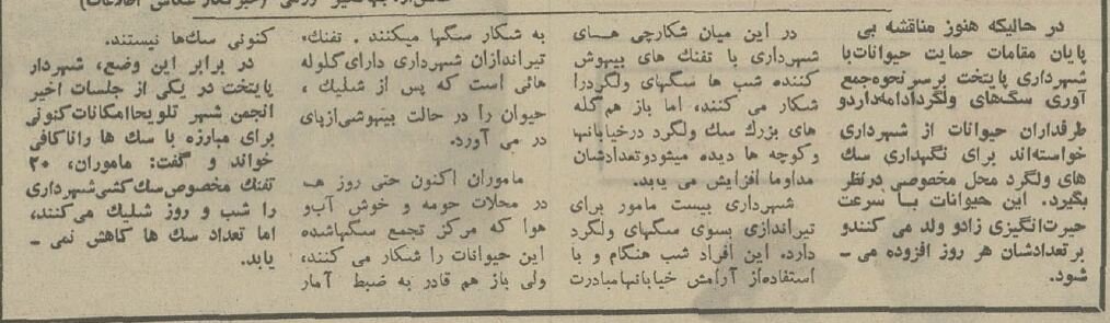 سگکشی در تهران شبانهروزی شد! +عکس