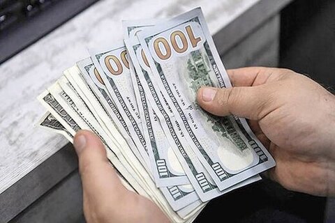 عضو کمیسیون اقتصادی مجلس: مدیریت ارزی کشور باید تغییر کند