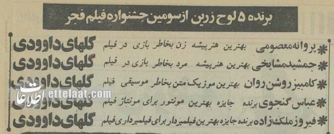 ۲ میلیون نفر سرنوشت این زوج نابینا را دنبال کردند! +عکس