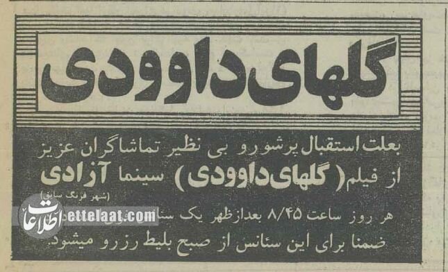 ۲ میلیون نفر سرنوشت این زوج نابینا را دنبال کردند! +عکس