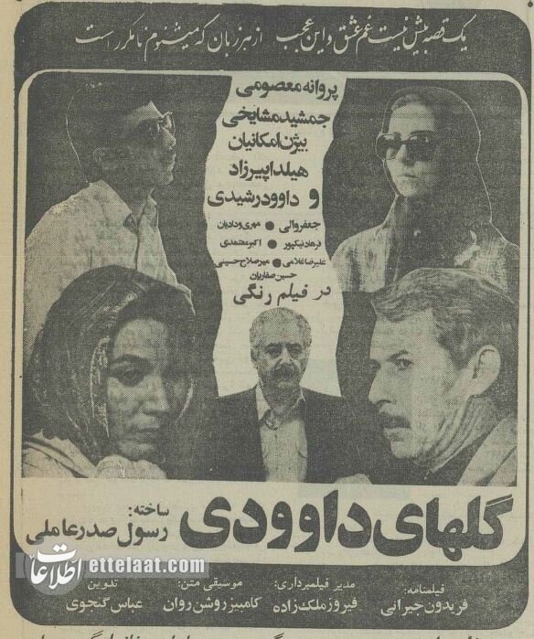 ۲ میلیون نفر سرنوشت این زوج نابینا را دنبال کردند! +عکس