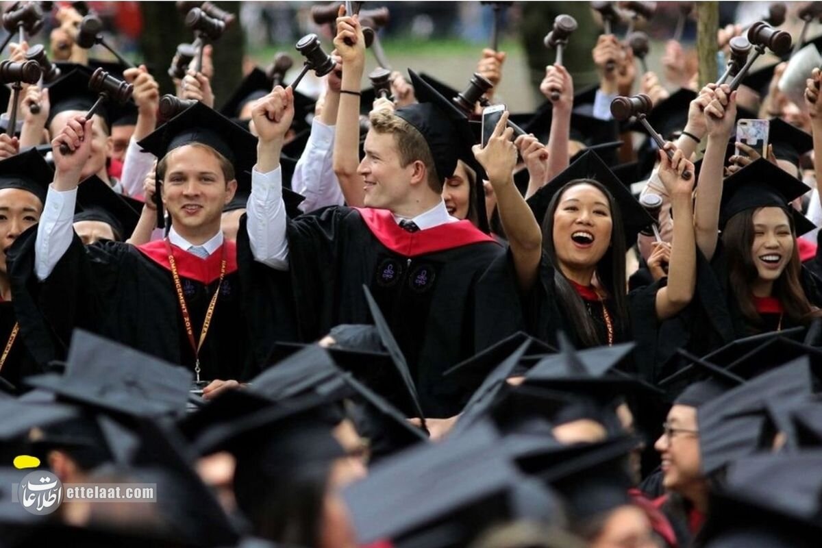 شیرینی قند پارسی در دانشگاه پرینستون! +عکس