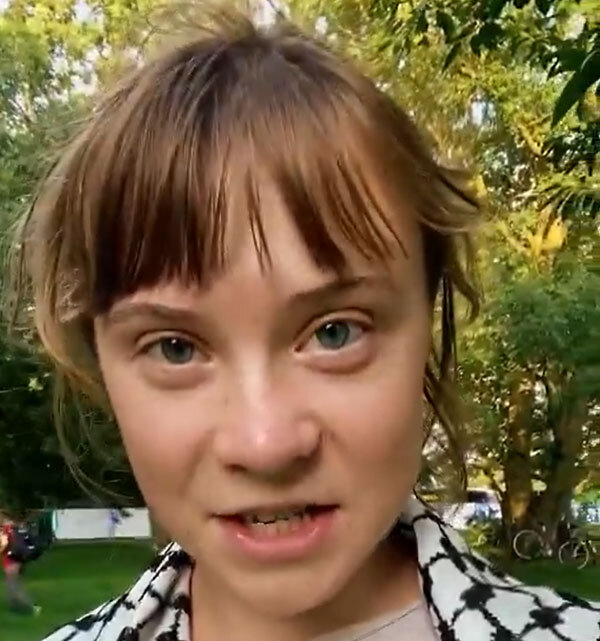 ده‌ها قایق به رهبری گرتا تونبرگ به سوی غزه حرکت کردند +ویدیو