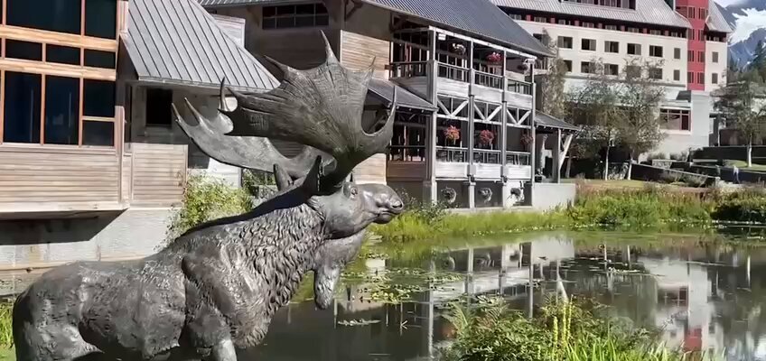 هتل محل قرار ترامپ و پوتین را ببینید + ویدیو