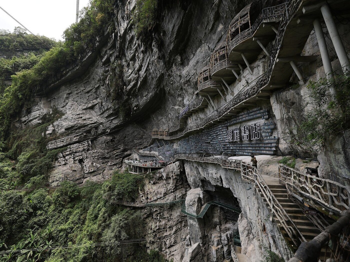 کتابفروشی به قدمت ۱۰۰ میلیون سال افتتاح شد! +ویدیو