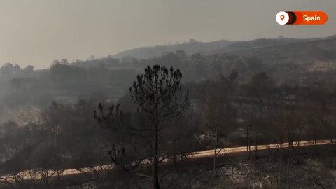 ویدیویی از قلب اروپا؛ شرایط وحشتناک اسپانیا بعد از آتش‌سوزی بزرگ
